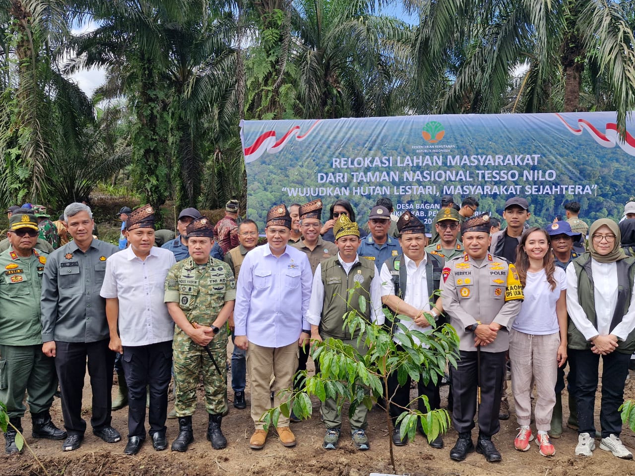 Disaksikan Menhut-Kapolda Riau, Penumbangan Sawit Awali Pemulihan Tesso Nilo