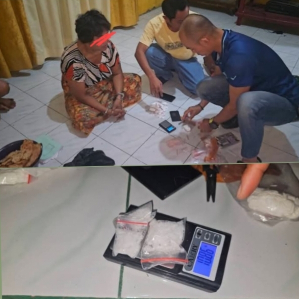 Penggerebekan di Lirik, Polisi Amankan Sabu Ratusan Gram Serta Ekstasi dari Rumah IRT