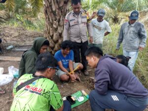 Narkoba Sampai Pedalaman Inhu, Polsek Batang Cenaku Ringkus Pria di Desa Anak Talang