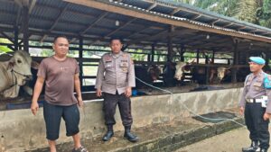 Polsek LBJ Sambangi Peternak Sapi di Kulim Jaya, Dukung Program Ketahanan Pangan Nasional