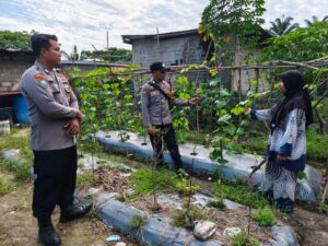 Polsek LBJ Dorong Ketahanan Pangan Nasional Lewat Budidaya Timun di Desa Tasik Juang