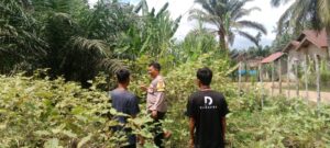 Polres Inhu Motivasi Pemanfaatan Pekarangan Produktif Warga