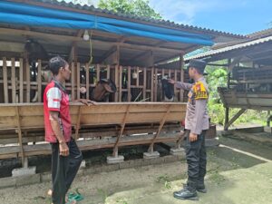 Polsek LBJ Dampingi Peternak Kambing Dukung Ketahanan Pangan Nasional