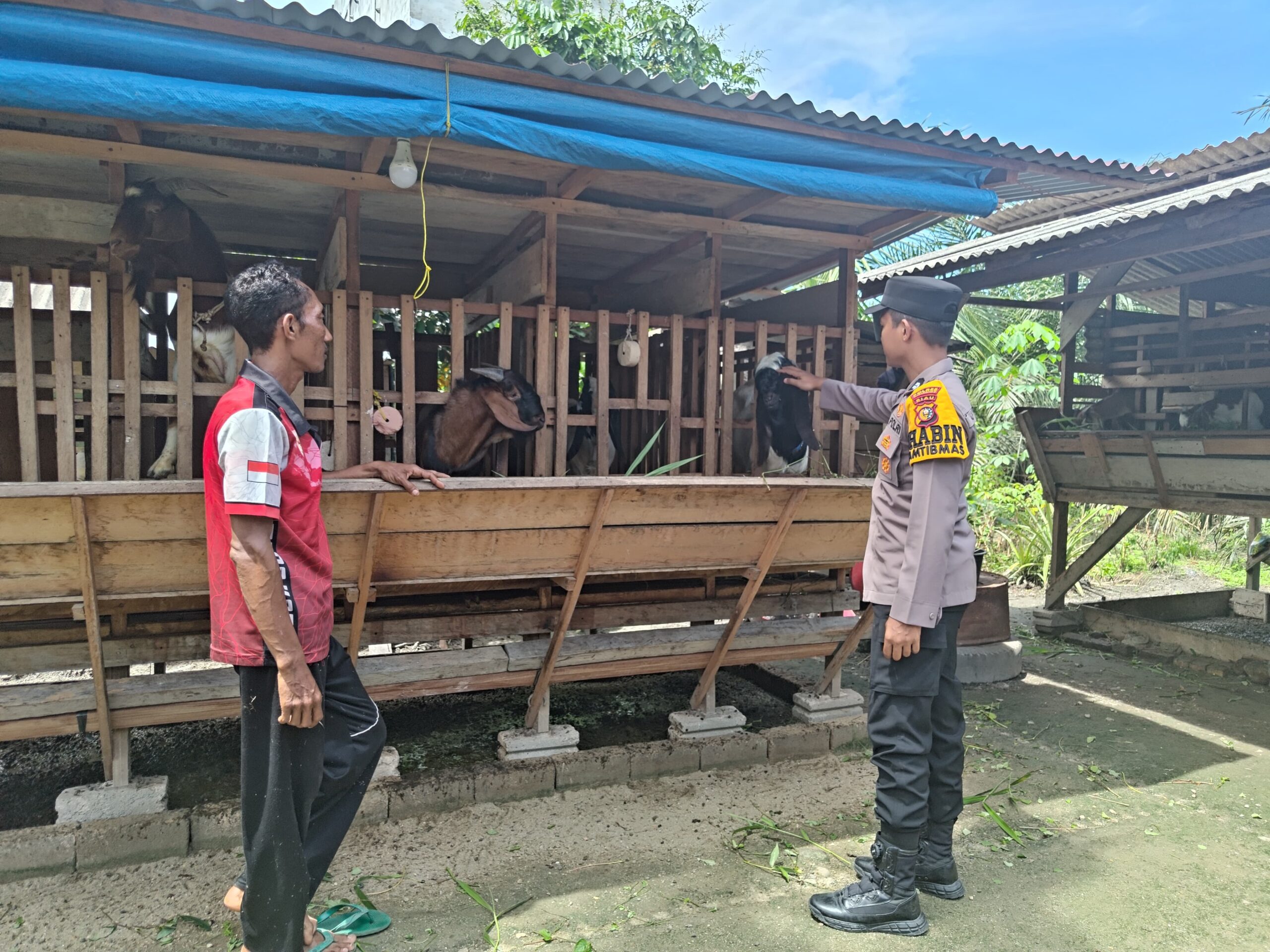 Polsek LBJ Dampingi Peternak Kambing Dukung Ketahanan Pangan Nasional