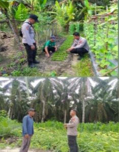 Polsek LBJ Dampingi Warga Kembangkan Pertanian Skala Kecil untuk Dukung Ketahanan Pangan