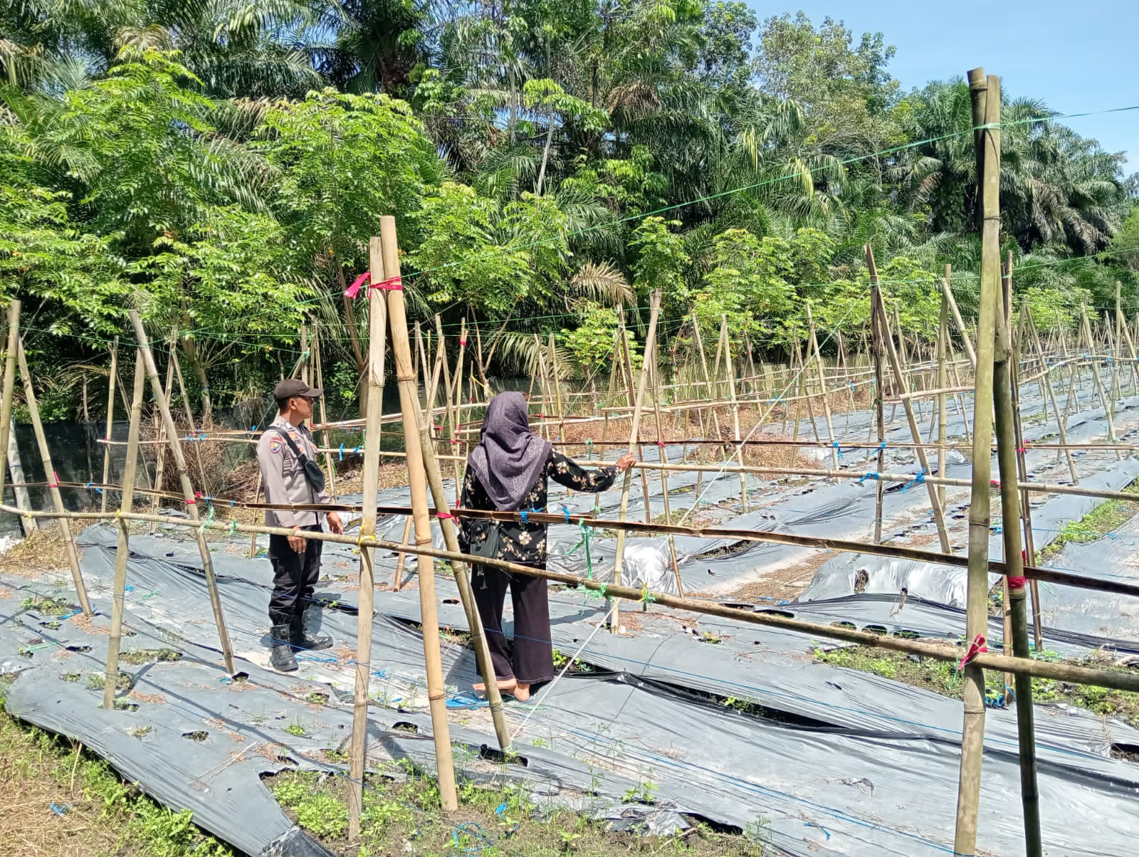 Polsek LBJ Dorong Warga Manfaatkan Pekarangan Dukung Ketahanan Pangan