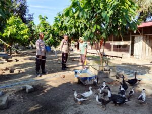 Polsek LBJ Sambangi Peternak Bebek di Kulim Jaya, Dukung Program Ketahanan Pangan Nasional