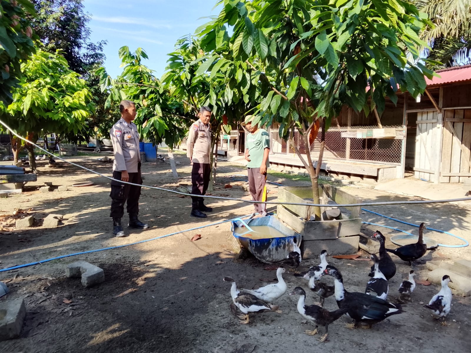 Polsek LBJ Sambangi Peternak Bebek di Kulim Jaya, Dukung Program Ketahanan Pangan Nasional