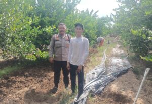 Polsek Kuala Cenaku Sambangi Petani Cabe dan Jeruk Nipis, Ajak Warga Manfaatkan Lahan Secara Aman