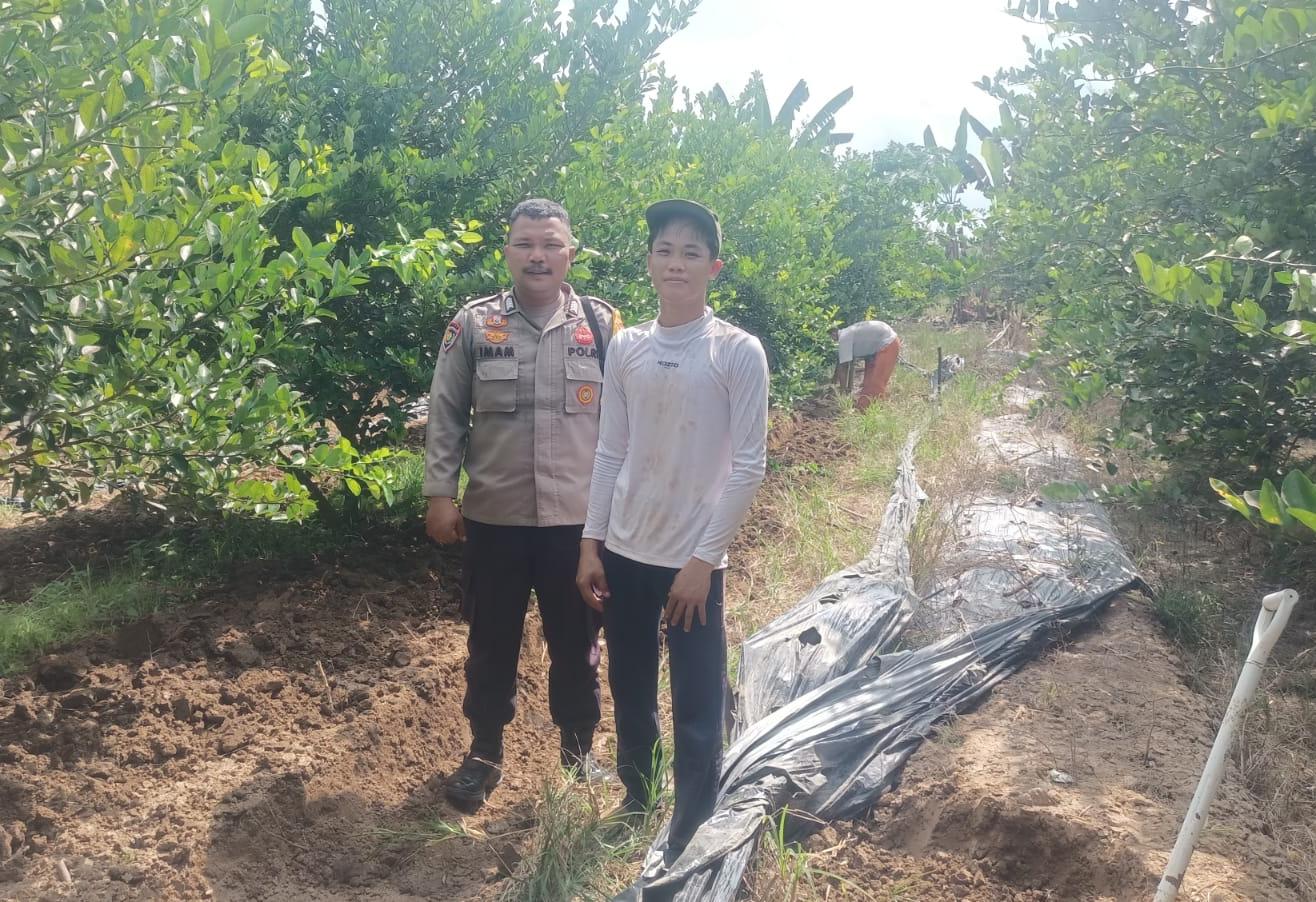 Polsek Kuala Cenaku Sambangi Petani Cabe dan Jeruk Nipis, Ajak Warga Manfaatkan Lahan Secara Aman