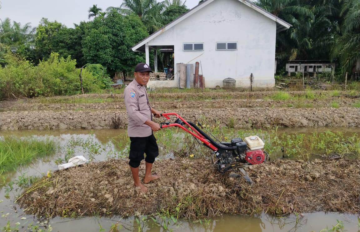 Polsek Kuala Cenaku Olah Lahan Tanam Jagung Pipil di Tanjung Sari