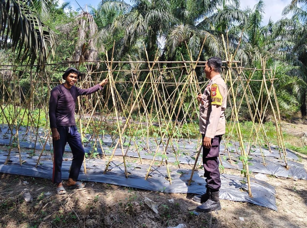 Polsek Kuala Cenaku Sambangi Petani Kacang Panjang di Rawa Asri, Serap Aspirasi hingga Ingatkan Larangan Karhutla
