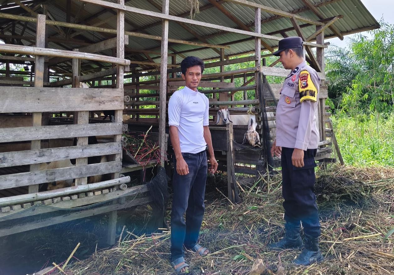 Sambangi Peternak Kambing di Rawa Asri, Polsek Kuala Cenaku Dorong Populasi Ternak Berkelanjutan