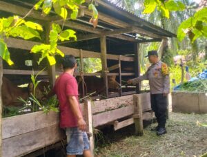 Polsek Kuala Cenaku Gelar Sambang Rutin ke Peternak Sapi di Desa Sukajadi