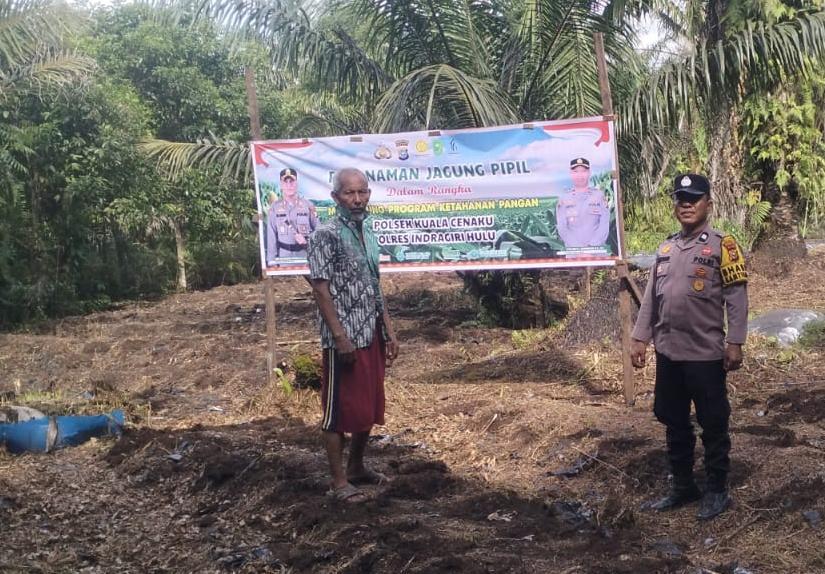 Dukung Ketahanan Pangan, Bhabinkamtibmas H Sihotang Pantau Persiapan Lahan Jagung