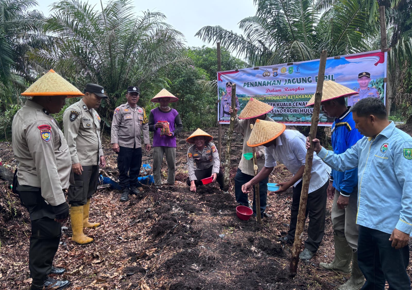 Dukung Program Ketahanan Pangan, Polsek Kuala Cenaku Tanam Jagung Pipil di Desa Sukajadi