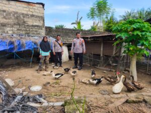 Polsek LBJ Sambangi dan Motivasi Peternak Bebek, Dukung Program Ketahanan Pangan Nasional