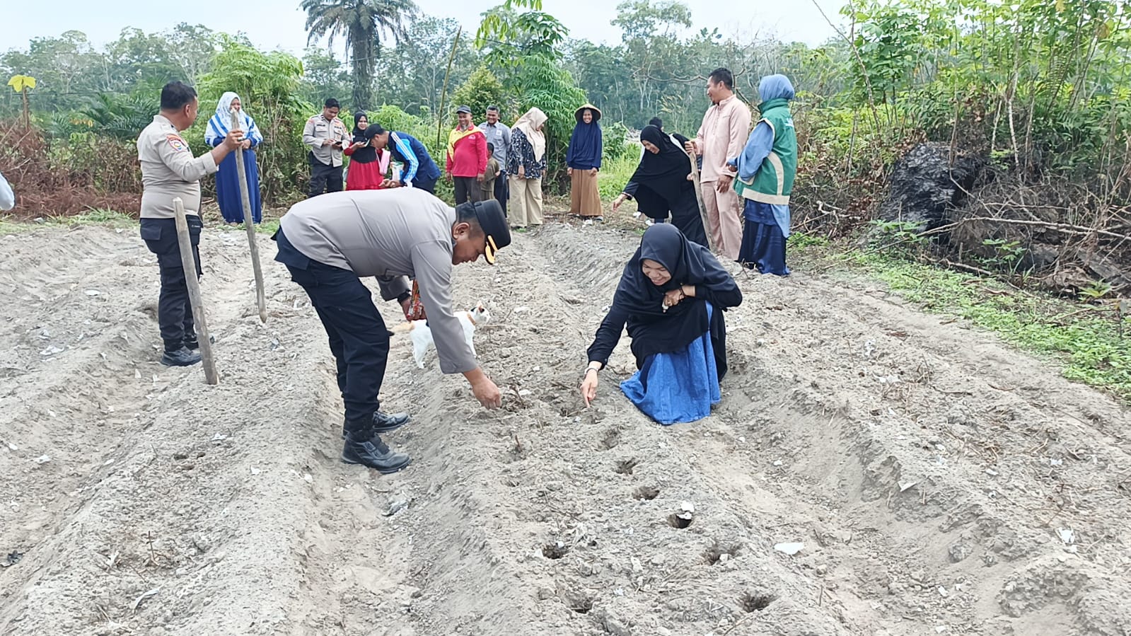 Swasembada Pangan Jagung Pipil Nasional, Polres Inhu Tanam hingga Pantau Perkembangan Tanaman