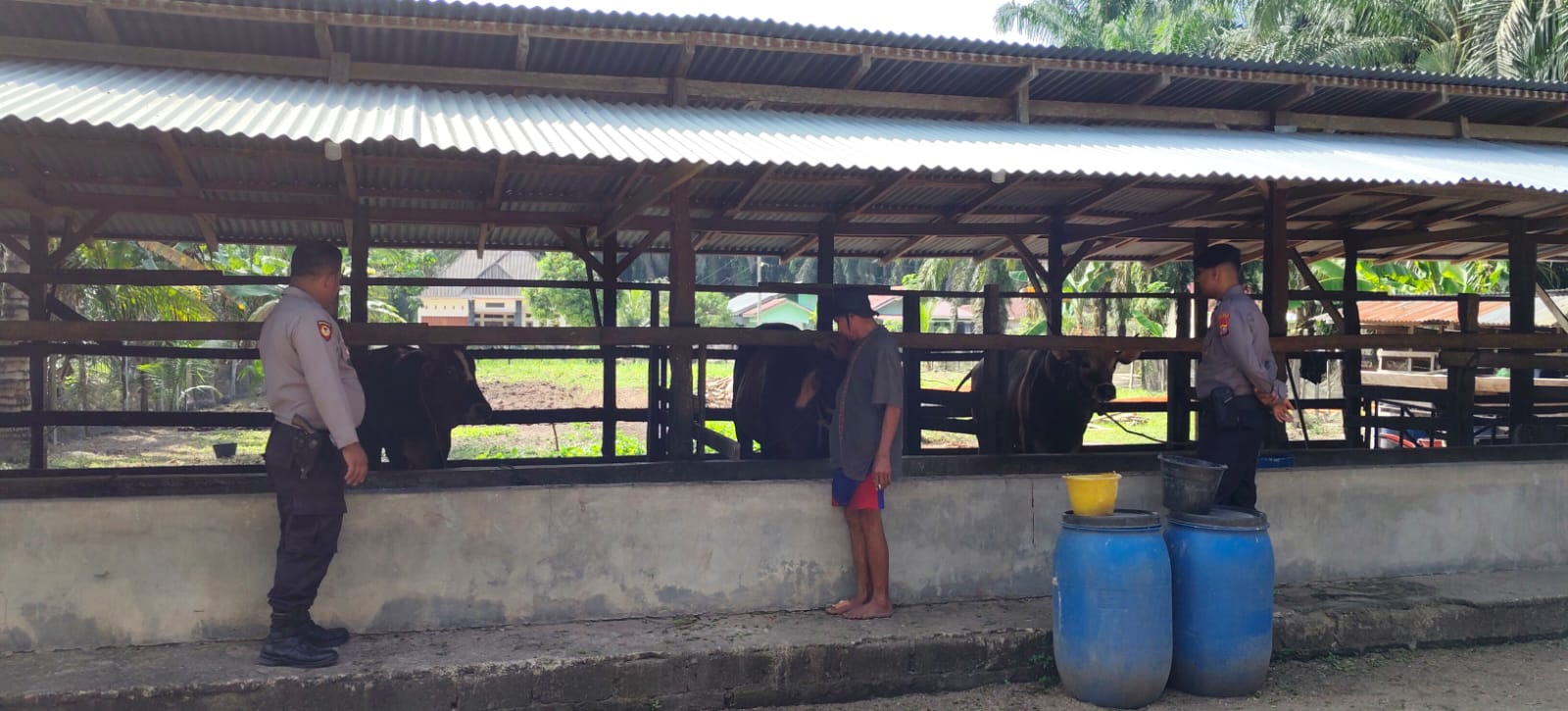 Polsek LBJ Edukasi Peternak Sapi: Kunci Ketahanan Pangan Dimulai dari Desa