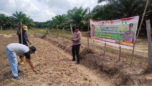 Hadapi Cuaca Panas, Polres Inhu Bersama PT. PAS Susun Rencana Tanam Jagung Ulang