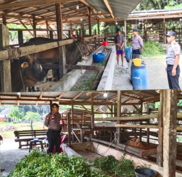 Polsek LBJ Dukung Ketahanan Pangan Lewat Sambang ke Peternak Sapi dan Kambing di Desa Kulim Jaya