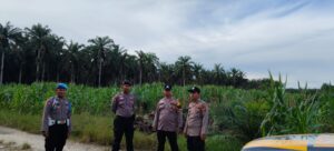 Upaya Polres Inhu Wujudkan Ketahanan Pangan dari Pontian Mekar ke Sungai Baung