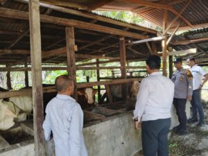 Dukung Ketahanan Pangan Nasional, IPTU Daniel: Peternakan Sehat Produktif Kunci Ketahanan Pangan Inhu