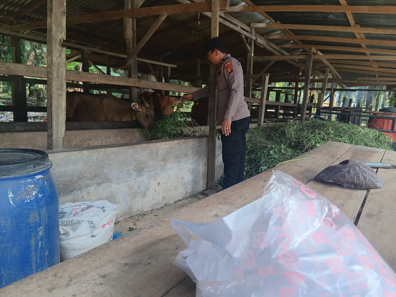 Polsek LBJ Gelar Sambang Peternak Sapi Dukung Program Ketahanan Pangan Nasional