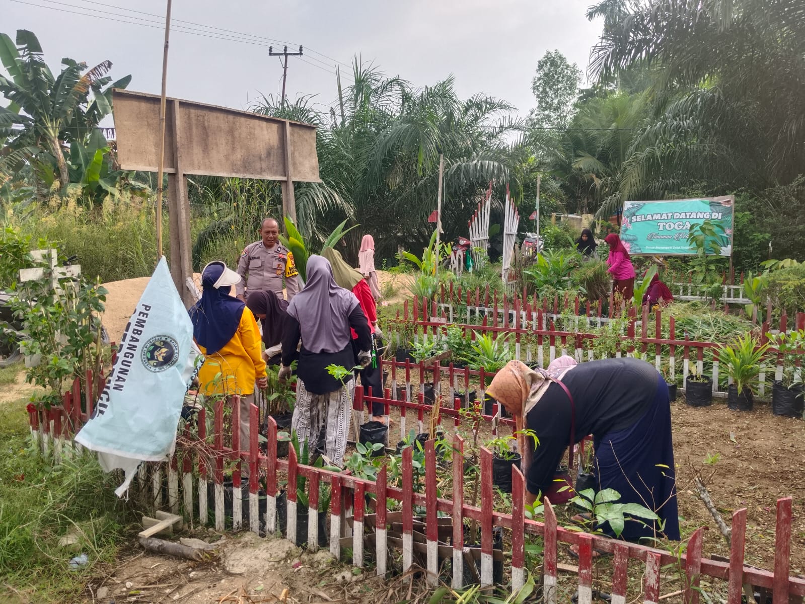 Polsek Kuala Cenaku Pantau Pekarangan Pangan Bergizi, Sulap Lahan Posyandu Jadi Kebun TOGA