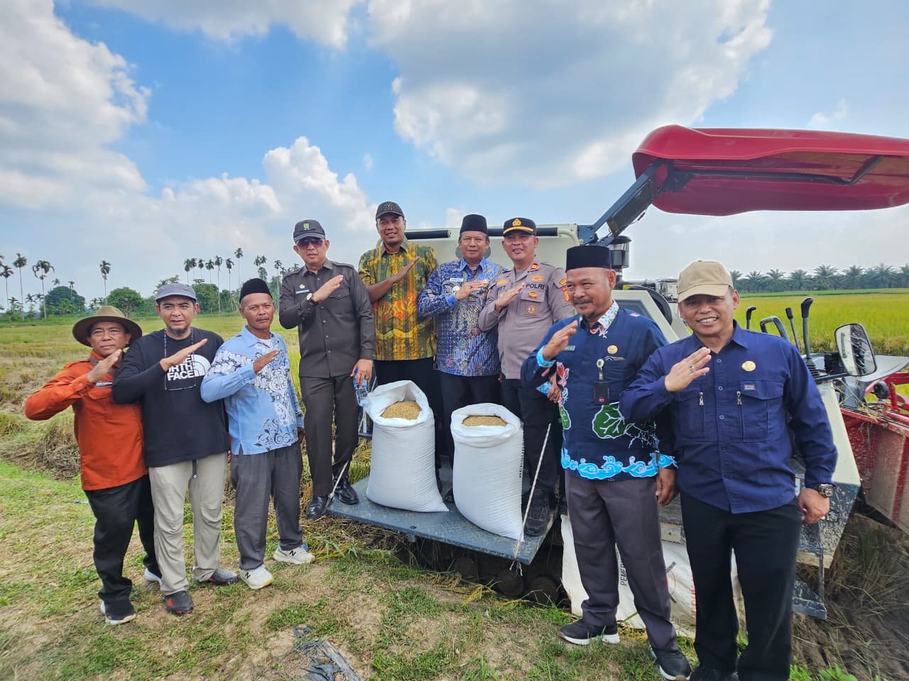 Dukung Swasembada Pangan, Bupati Inhu Panen Raya di Kuala Cenaku