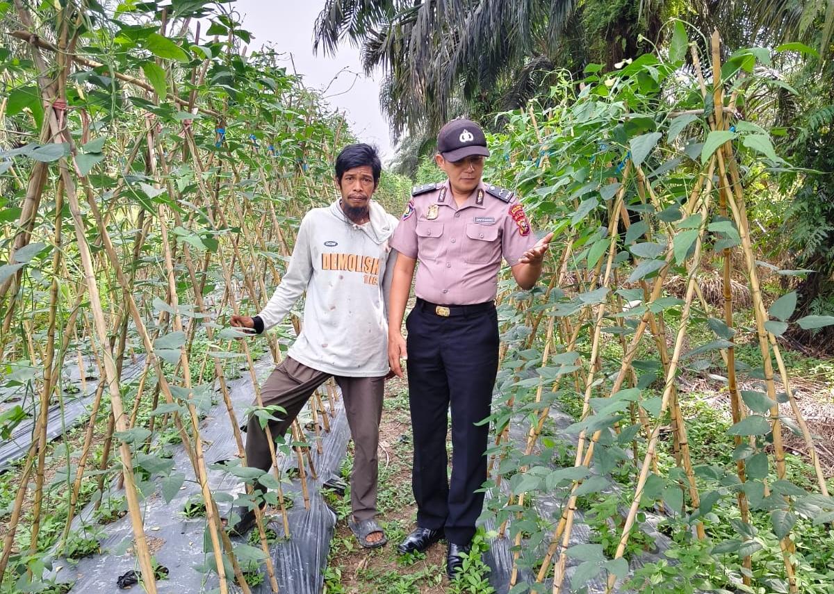 Bhabinkamtibmas Kuala Cenaku Kunjungi Petani Rawa Asri, Imbau Hindari Bakar Lahan