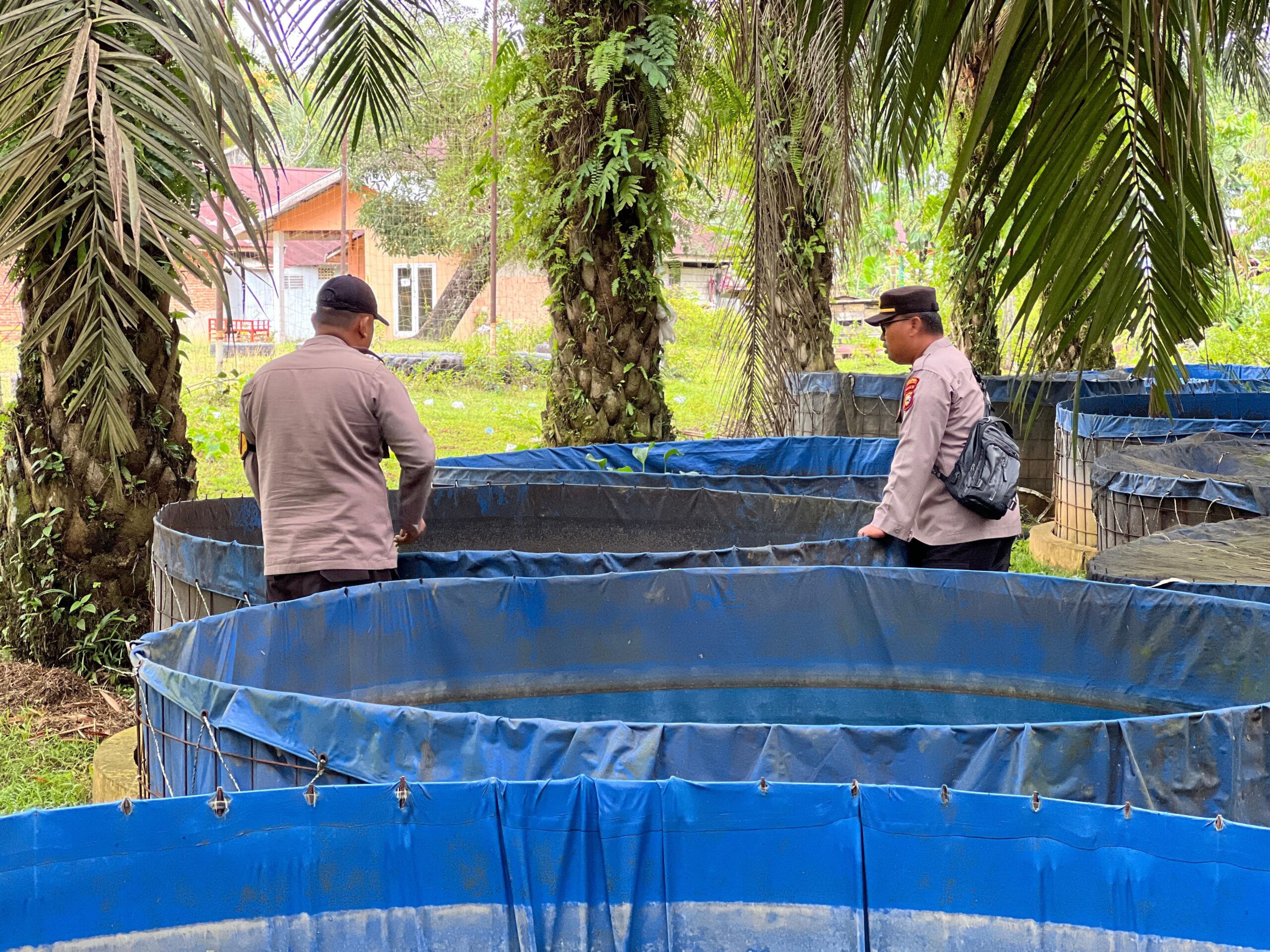 Polsek Lirik Tinjau Budidaya Ikan Nila dan Lele Binaan Milik BUMDes Rejosari