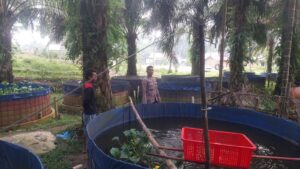 Polsek Lirik Pantau Pembesaran 10.000 Bibit Lele Milik Desa Rejosari
