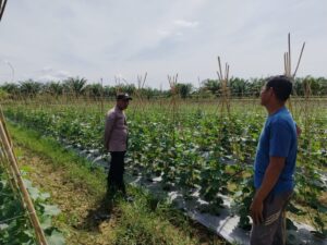 Polsek Kuala Cenaku Bergerak, Cegah Alih Fungsi Lahan Sekaligus Kuatkan Kamtibmas Kuala Mulia