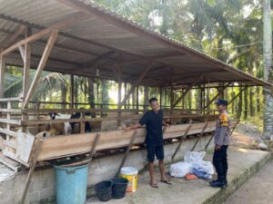 Jaga Ketahanan Pangan Inhu, Polsek LBJ Sambangi Kandang Kambing Warga Mekar Sari