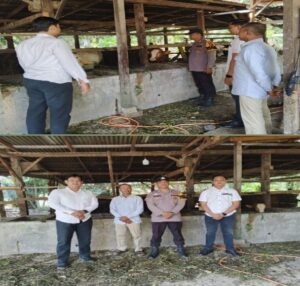 Semangat Ketahanan Pangan: Polsek LBJ Beri Motivasi Peternak Sapi di Dusun Panca Karya