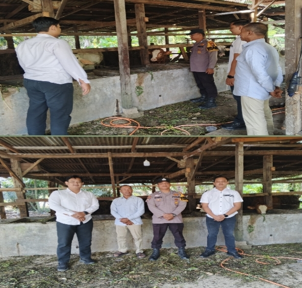 Semangat Ketahanan Pangan: Polsek LBJ Beri Motivasi Peternak Sapi di Dusun Panca Karya