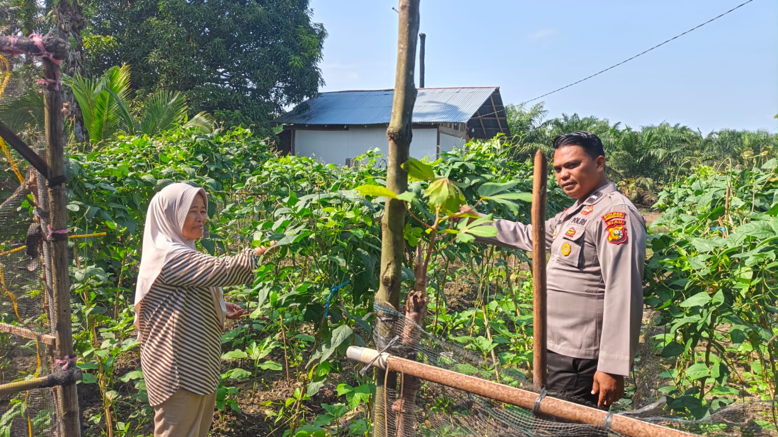 Motivasi Petani Skala Kecil, Polsek LBJ Gaungkan Pentingnya Ketahanan Pangan Desa