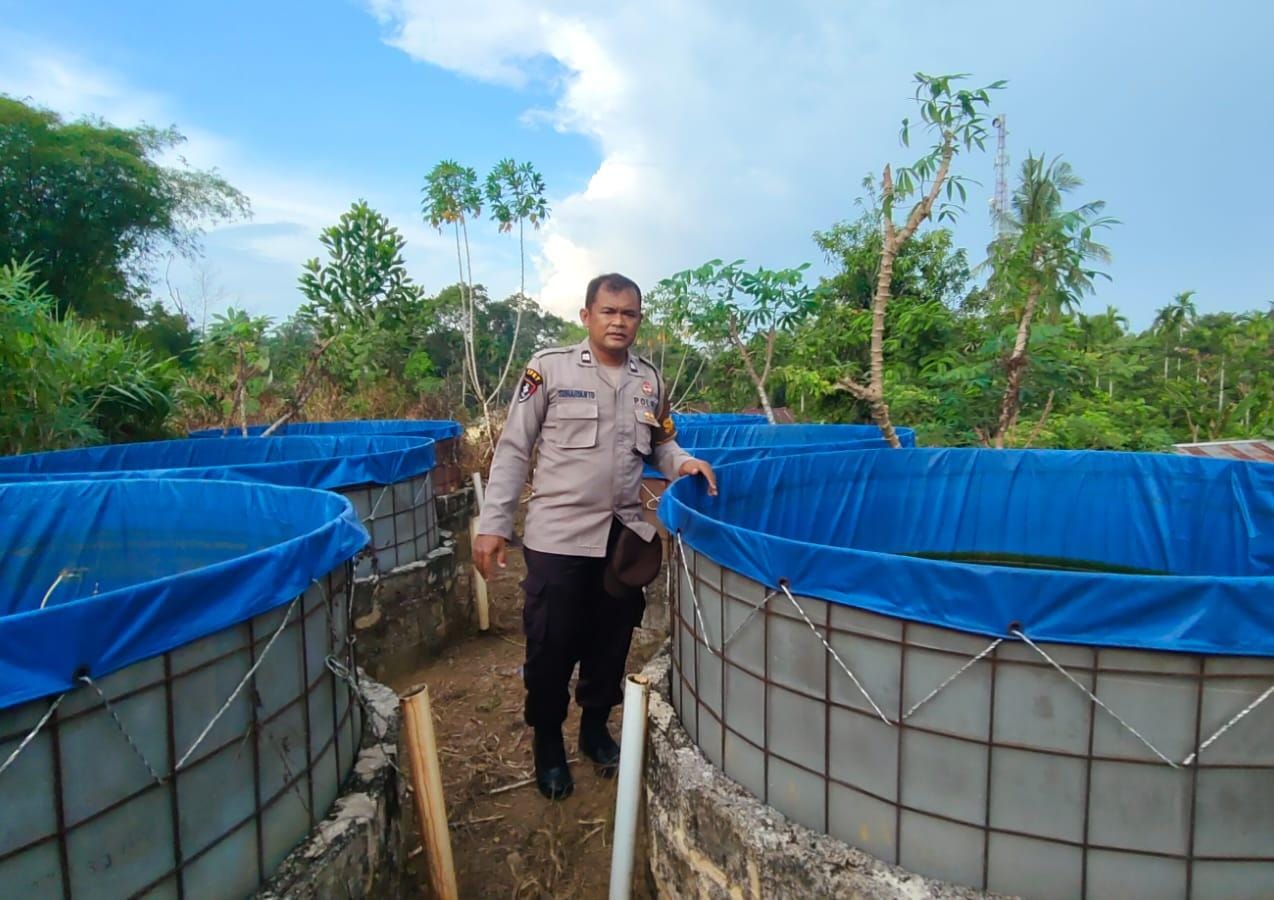 Polsek Lirik Dampingi Pembesaran 1000 Bibit Ikan Lele di Desa Sukajadi