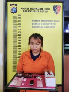 Jaringan Sabu di Lirik Diputus, Polisi Amankan Seorang Wanita Beserta BB