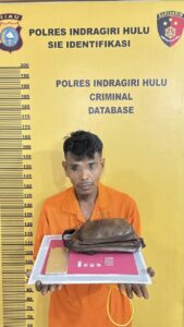 Polisi Gagalkan Transaksi Narkoba, Warga Desa Pulau Gelang Kuala Cenaku Digelandang Ke polres Inhu