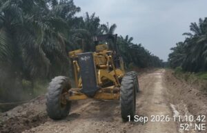 PT PAS Mitra Agrinas Intensifkan Perawatan Jalan Kebun, Dukung Kelancaran Produksi TBS