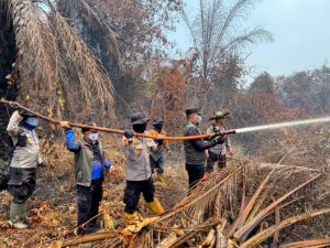 Bupati dan Kapolres Inhu Terjun Langsung Berjibaku Padamkan Karhutla di Sungai Guntung Hilir