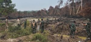 Tim Penyuluhan Mabes TNI Tinjau Lokasi Pasca-Karhutla di Indragiri Hulu