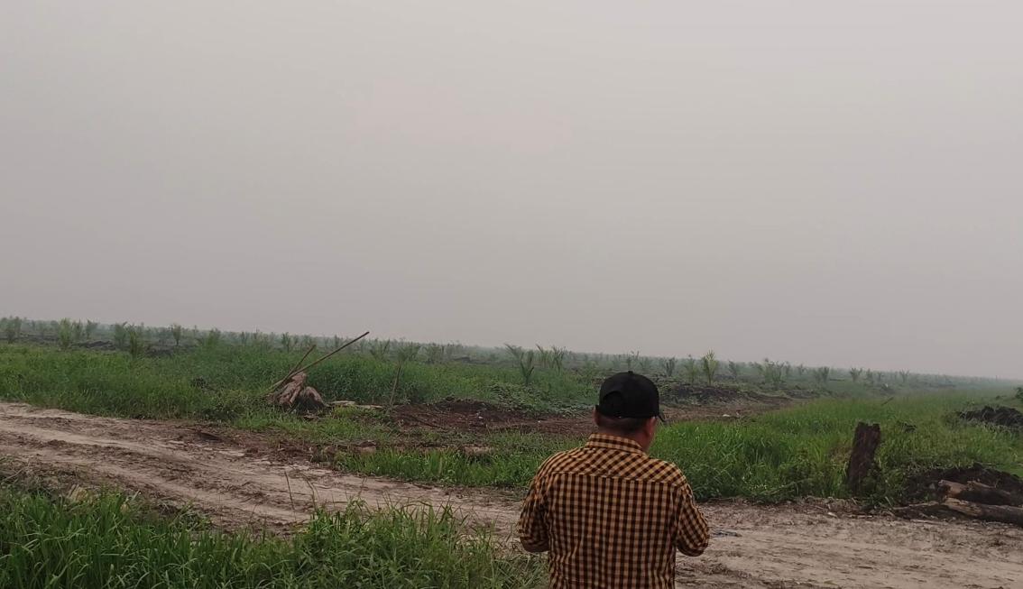 Lebih dari 150 Hektare Kebun Sawit Warga di Sungai Raya Dirusak Ando, Polisi Diminta Segera Tangkap Pelaku